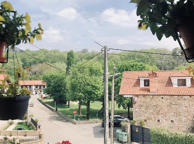 Hiedra Santillana del Mar